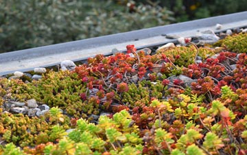 the cost of Shamley Green green roof installation
